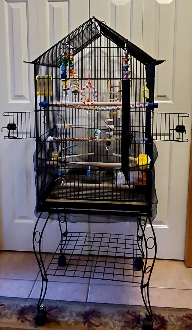 Bird Cage for Sale in Accessories in Calgary - Image 2