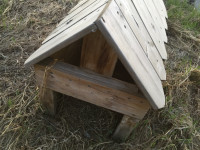 I deliver! Chicken Wooden Coop-House