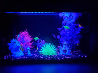 Topfin 5gal glo fish tank and most accessories