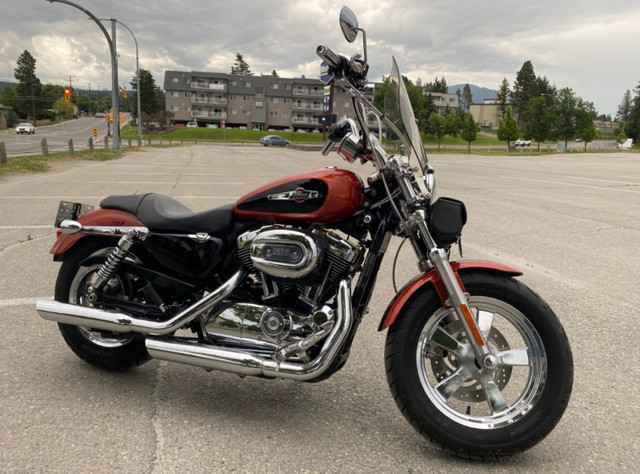 2011 Harley Davidson Sportster 1200 in Street, Cruisers & Choppers in Cranbrook