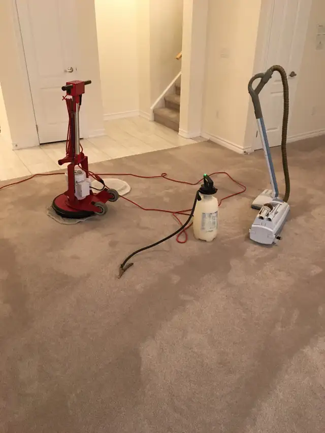 carpet cleaning 414910984948951042
