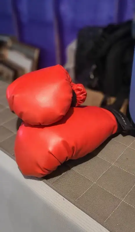 Protocol Boxing gloves in Exercise Equipment in Winnipeg - Image 3