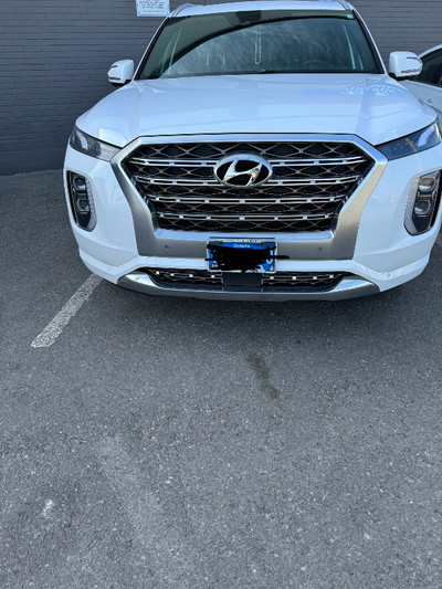 Hyundai palisade 2020