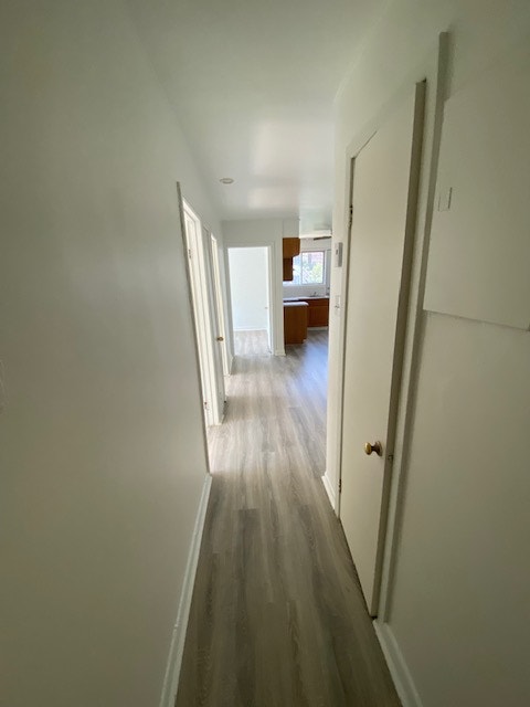 Rabais 350$/mois ! 5 ½ lumineux face au parc — Ahuntsic (3 ch.) — photo 3
