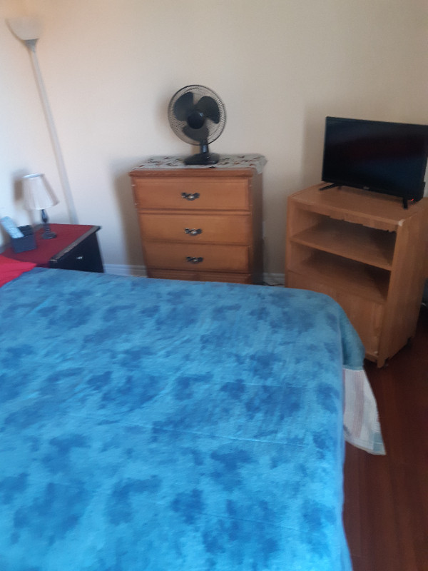 Shared Apartment(Room For Rent) in Room Rentals & Roommates in Dartmouth - Image 2