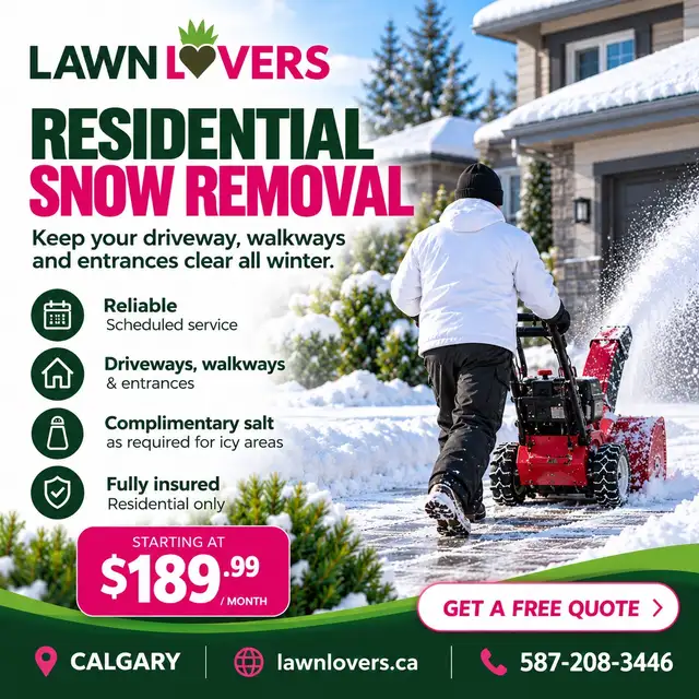 RELIABLE Snow Removal Service 