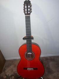 Classical Flamenco Guitar