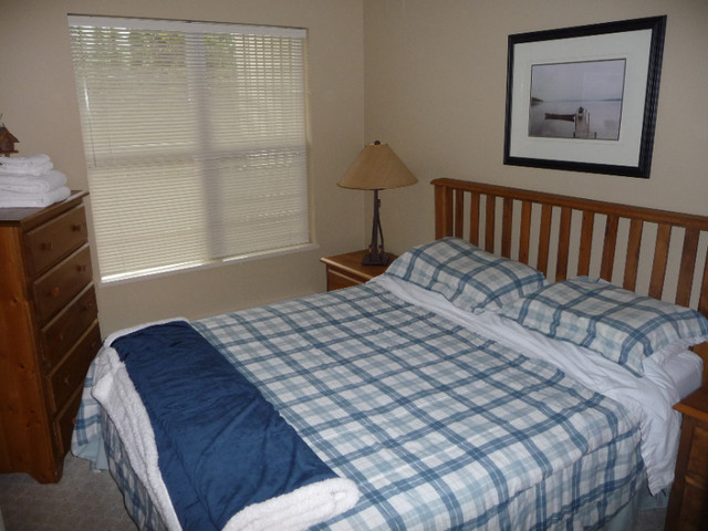 2 Bed 1 Bath Silver Star Condo available April to November in Long Term Rentals in Vernon - Image 4