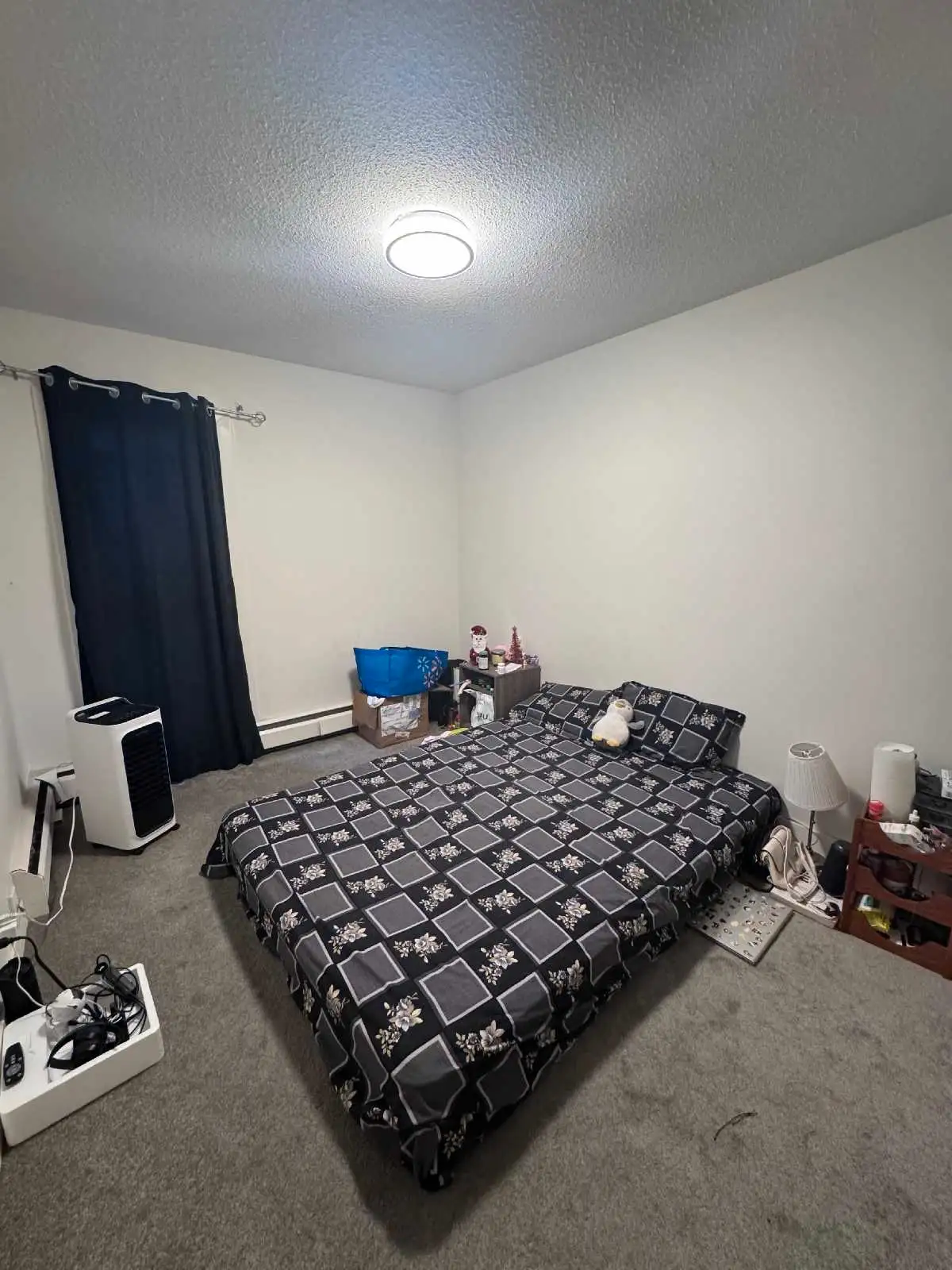 pictures of the unit