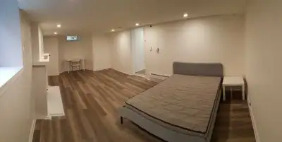 Very large and quiet recently renovated and furnished one bedroom basement apartment with private ab...
