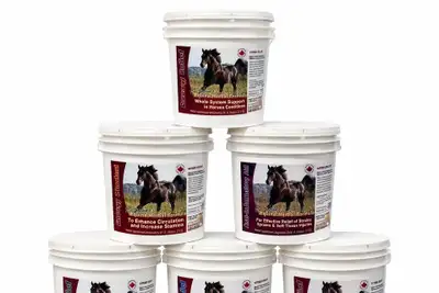 CLEARANCE: Vet-Formulated Herbal Horse Supplements - 2KG Buckets, View more