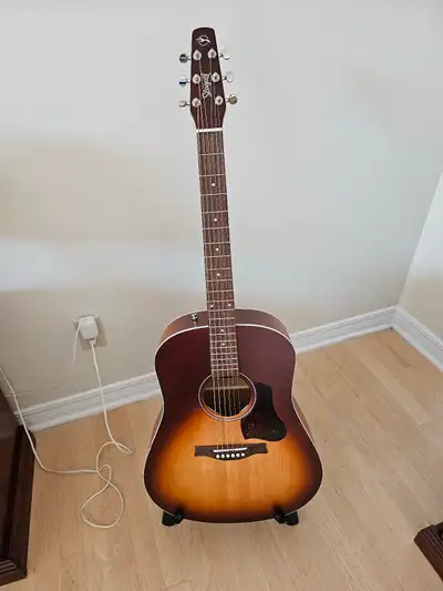 Seagull Entourage acoustic guitar, View more