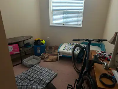 2 bdrm with 1 room available Have a cat Weekly payments 800 a month