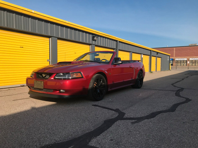 Mustang for sale  in Cars & Trucks in Mississauga / Peel Region - Image 4
