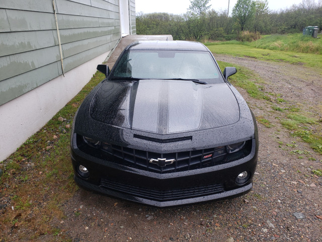 2010 camaro ss 6.2l in Cars & Trucks in Saint John - Image 3