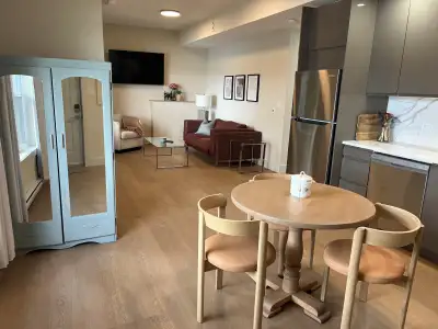 Brand new 1 Bedroom + Den Fully Furnished Basement Walkout Lake Front Apartment. Lakefront access! L...