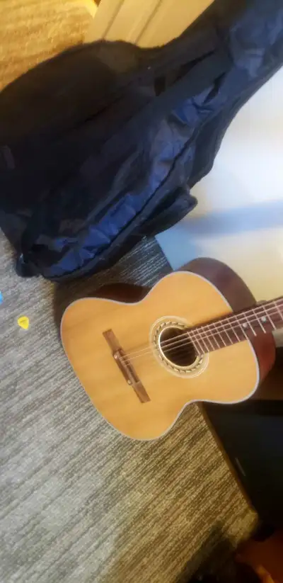 Silvertone Acoustic Guitar,Plays and Sounds Great Gigbag include, View more
