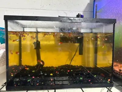 Fish Tank $45, View more