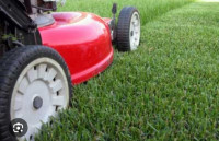 Lawn Mowing/Grass Cutting  Starting $19  Same Day,  No Contract