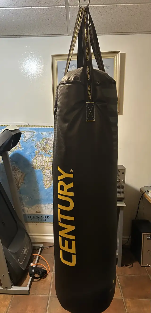 Punching bag in Exercise Equipment in Prince Albert - Image 2