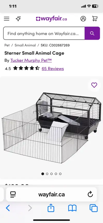 Guinnea pig start up, View more