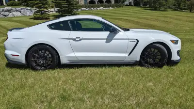 2016 Mustang Shelby GT 350
