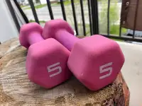 5 pound weights (set of 2)