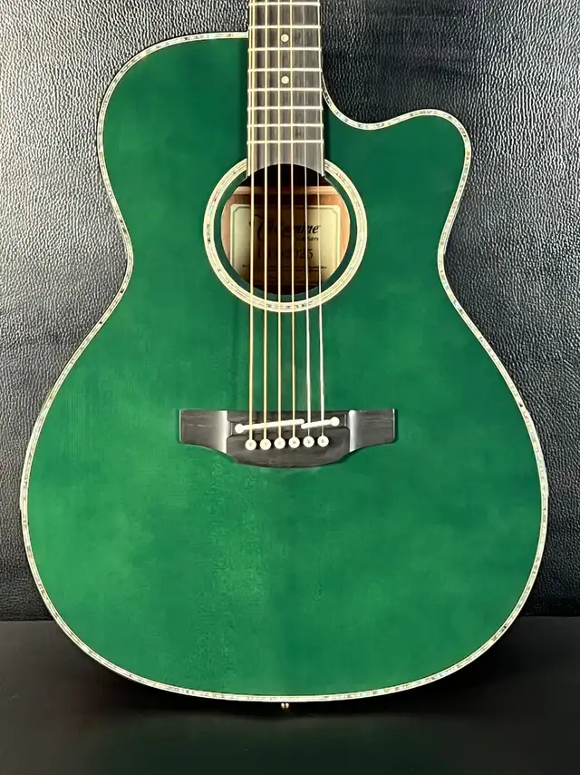  Takamine LTD2025 Limited Edition Antique Evergreen in Guitars in Mississauga / Peel Region - Image 9