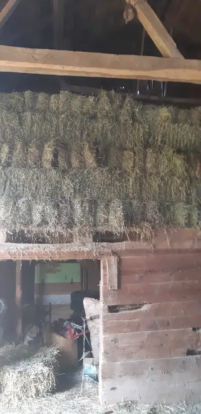 Small square bales 2nd cut, View more