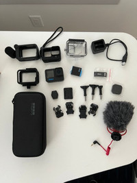 GoPro 11 with accessories and Rode mic