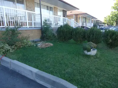 3 bedrooms & 1 washroom available for rent in Upper Floor!!!