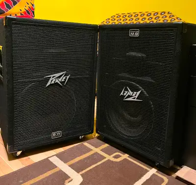 Haut-parleurs Peavey modèle 115 À vendre car je manque de place 250$ pour les 2