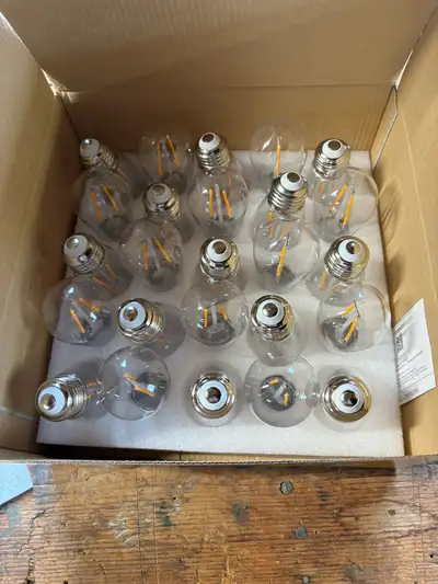 - $15 for the whole box! - brand new bulbs - lifetime of 20,000 plus hours! - LED