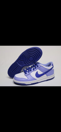 Nike Dunk Low Blueberry Gs Size 5y Ds 