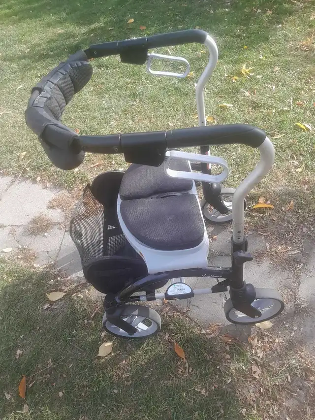 Evolution Walker