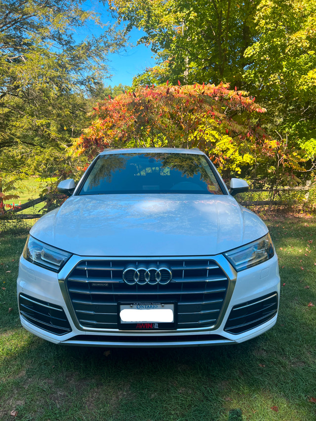 2019 Audi Q5 2.0T Komfort AWD w/ Apple CarPlay, Heated front sea in Cars & Trucks in City of Toronto - Image 3