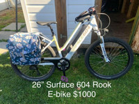 Surface 604 Rook E-bike