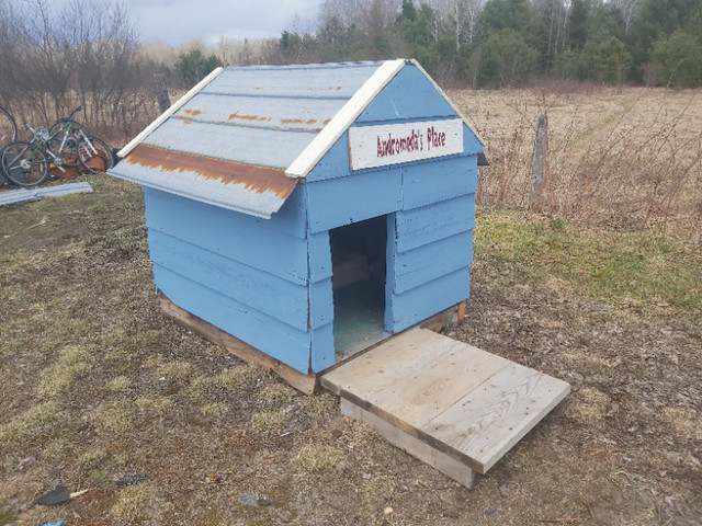 Large dog house for sale in Accessories in Petawawa - Image 4