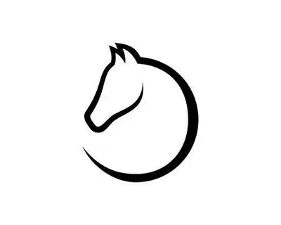Horse Back riding lessons, View more