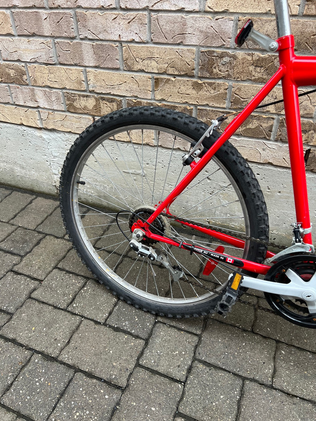 26” Triumph mountain bike. XL frame in Mountain in Markham / York Region - Image 3