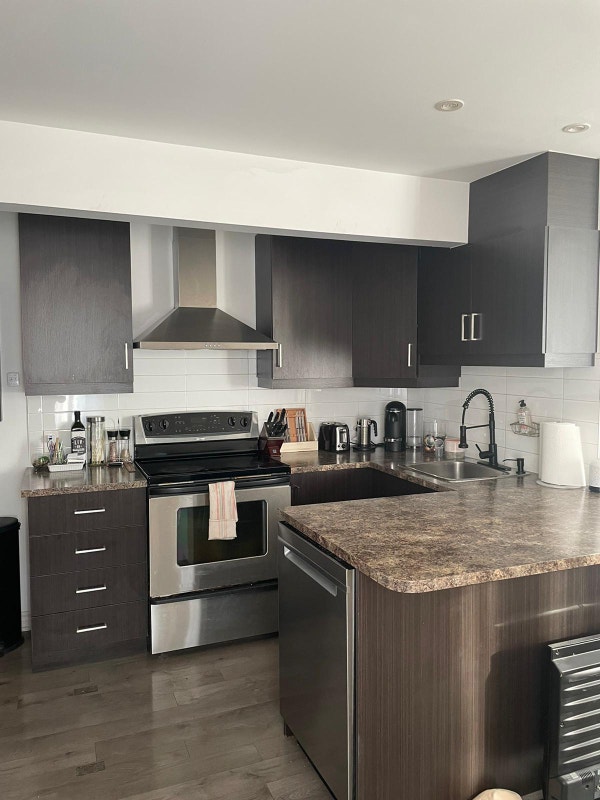 Superbe 4 1/2 Style condo lumineux à louer Locations longue durée