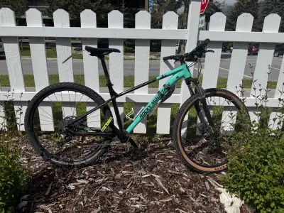 GOING BACK TO EUROPE - L size MTB, View more