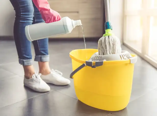 Professional Cleaning Services