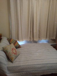 Cozy furnished 1 bedroom apartment downtown available June 1