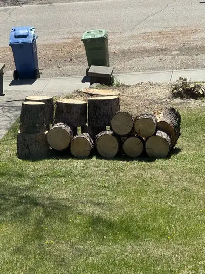 Free logs / firewood for pickup. , View more