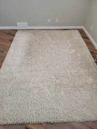 Shag rug for sale