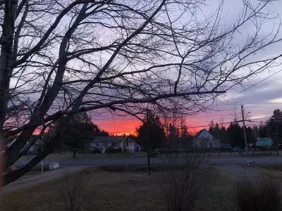 Private room for rent in 2 bedroom 2 bath home. Feel free to ask for more details and pictures.