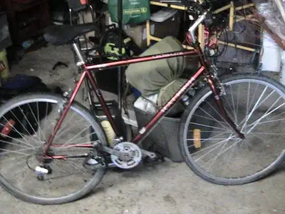 Rieliegh road and trial Bicycle, View more