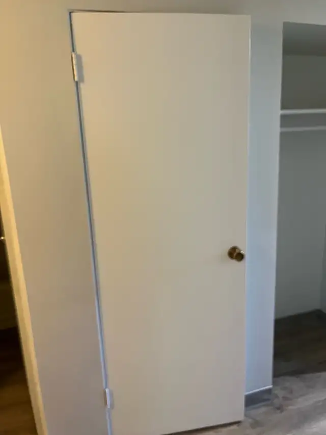 Painter looking for work489972054832588803