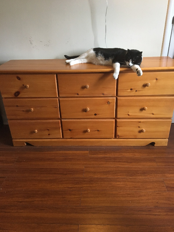 Dresser for Sale in Dressers & Wardrobes in City of Halifax
